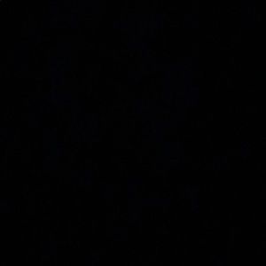 Meet your Posher, Brenden